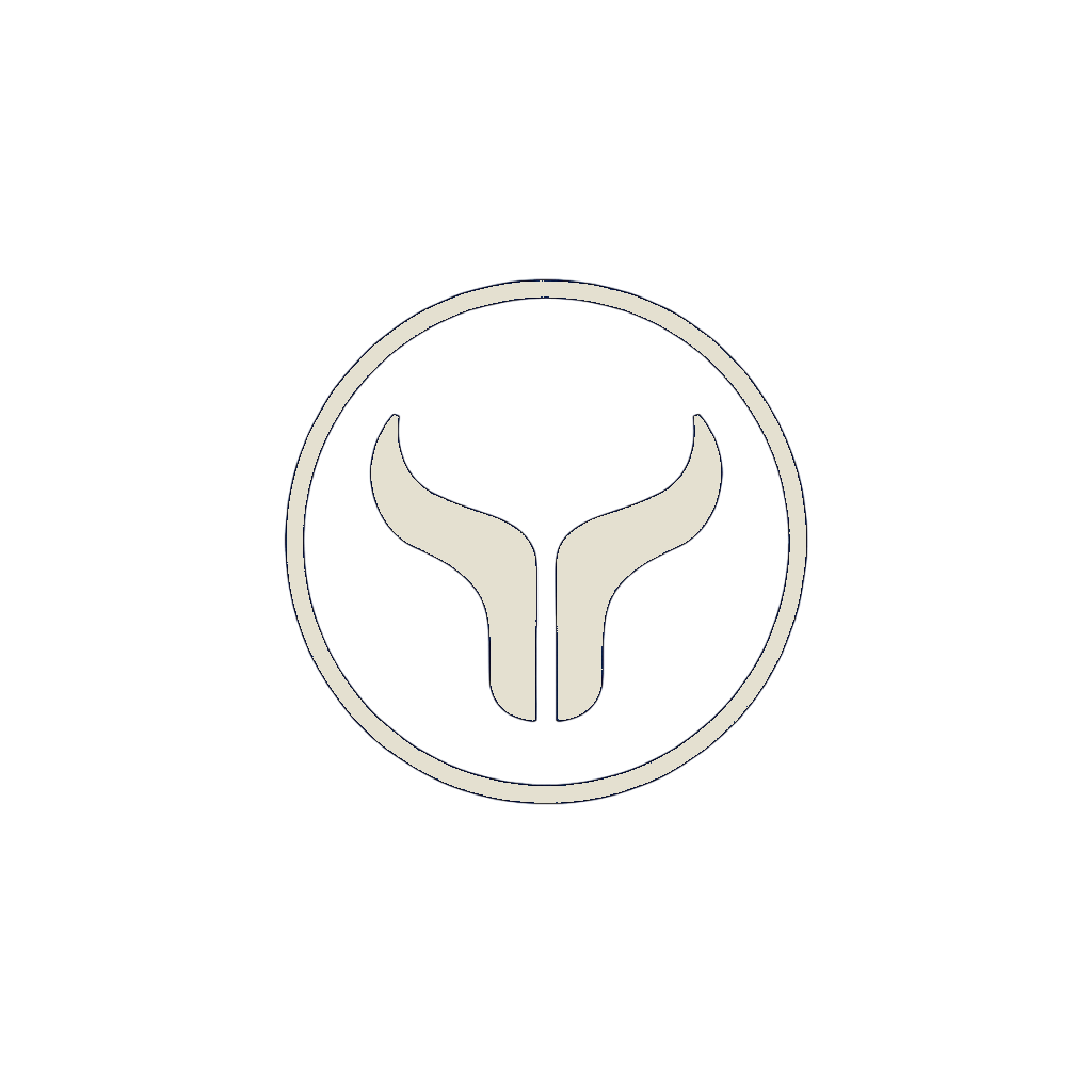 SynToro Logo